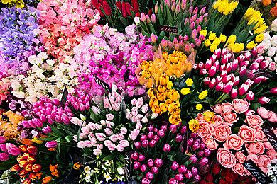 《雪地奔驰》第二个扩展包“大丰收”现已推出